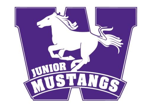 Junior Mustangs AA/A Tournament